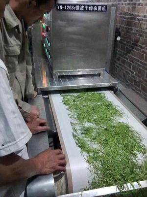 金銀花烘干殺青設(shè)備與微波干燥設(shè)備的技術(shù)優(yōu)勢與應(yīng)用分析